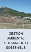 Gestión ambiental y desarrollo sostenible